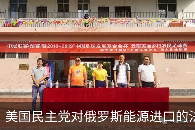 美国民主党对俄罗斯能源进口的法律监管与政治反应